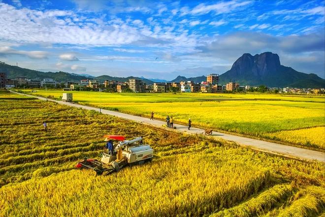 2025年农民“享福”了改造升级、修路补贴利好政策不断必赢国际(图7)