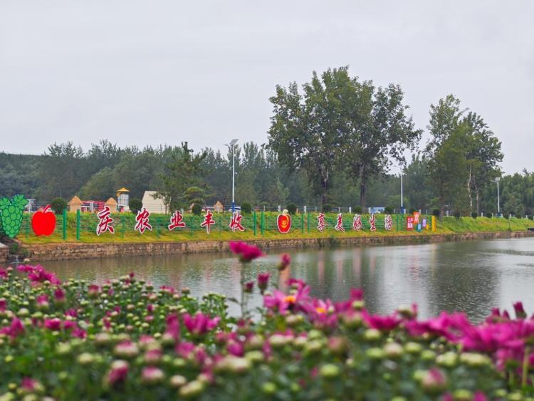 丰收节齐鲁“丰”景里的“农”墨重彩(图2)