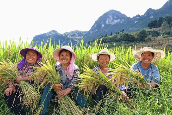开阳县：稻香四溢绘“丰”景助力乡村促振兴(图2)