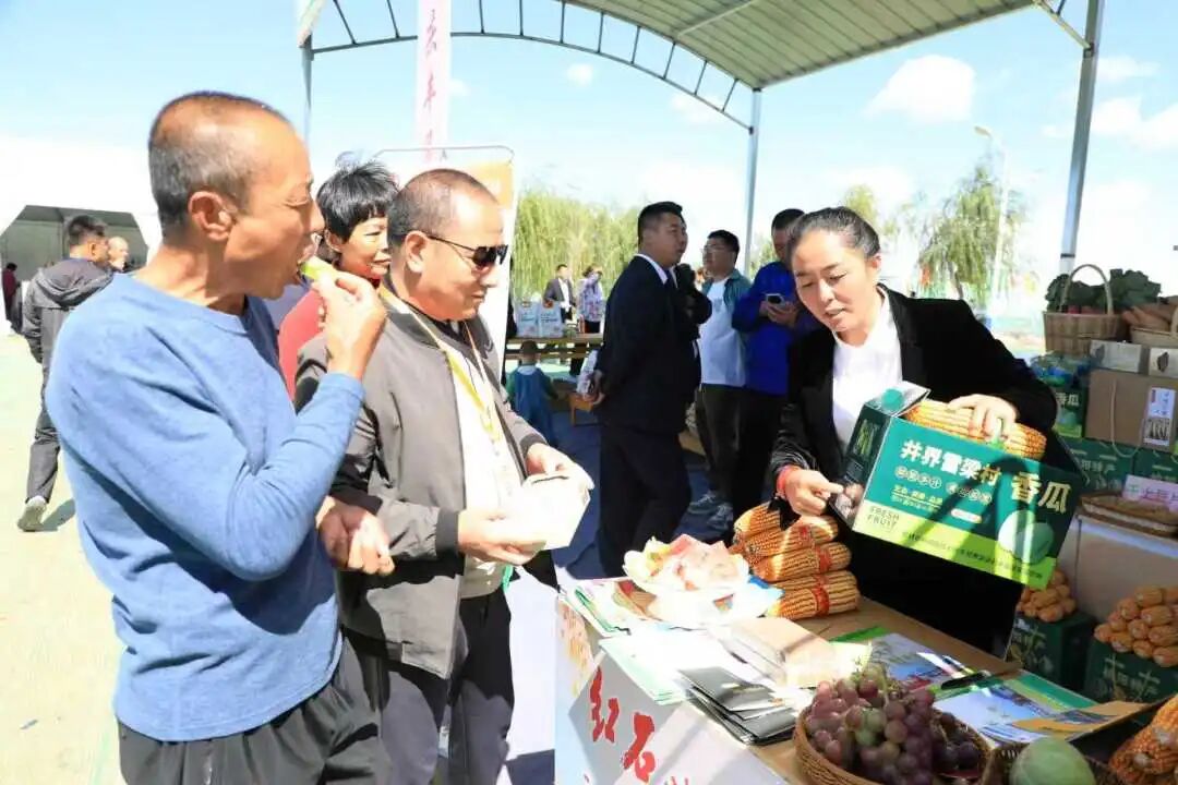 聚焦榆阳“丰”景头雁领飞产业兴科技赋能绘“丰”景(图3)