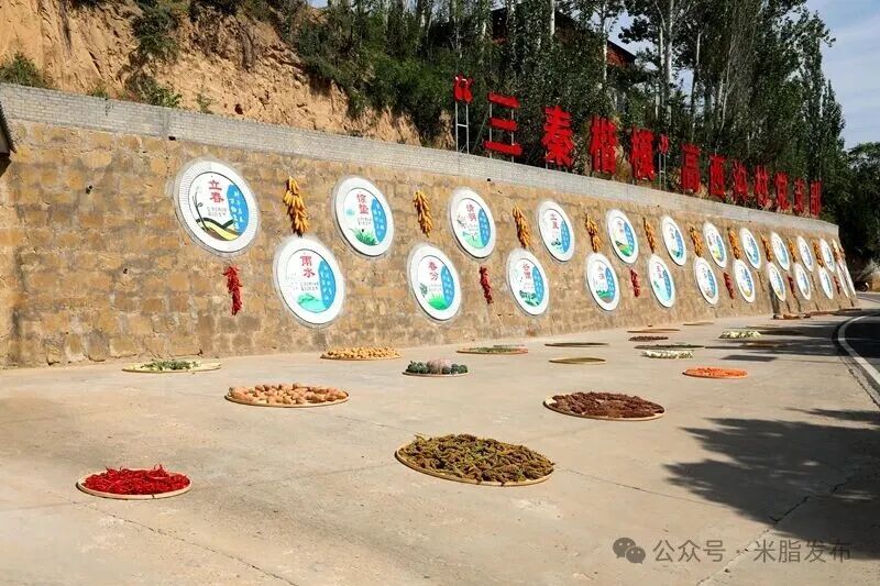 米脂县2025年中国农民丰收节暨第五届乡村文化艺术节在高西沟村举办(图7)