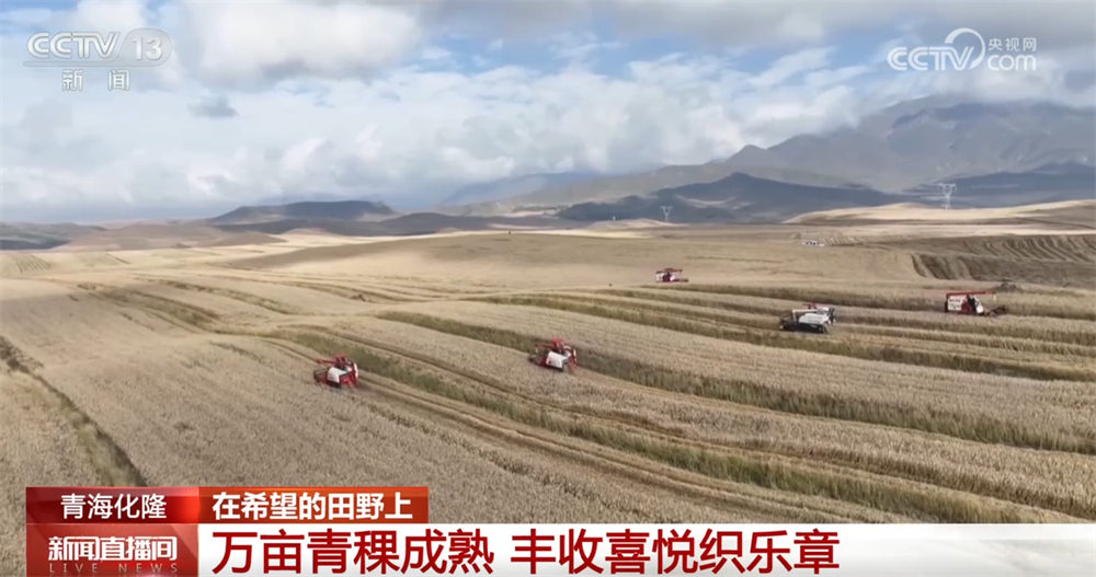 青稞黄、果飘香、冬小麦播种忙神州大地“智”绘乡村振兴新图景(图3)