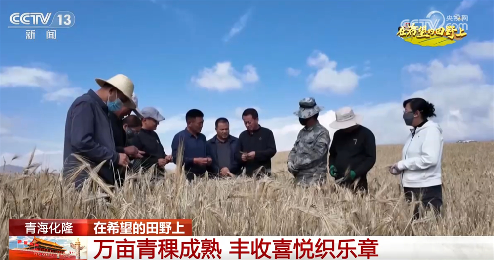 青稞黄、果飘香、冬小麦播种忙神州大地“智”绘乡村振兴新图景(图4)