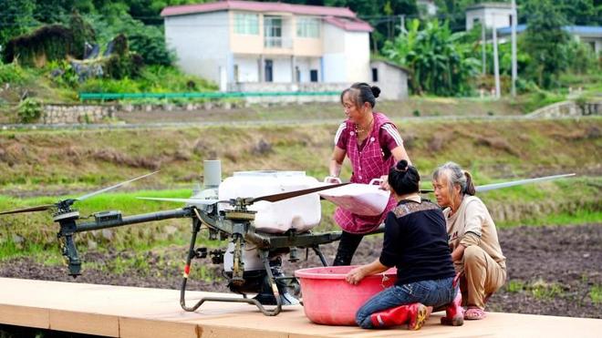 无人机助力高县庆岭粮油现代农业园区5000余亩油菜开播必赢(图3)