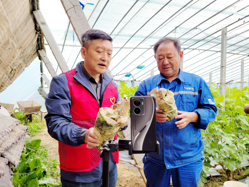 绿色动能绘共富新篇(图3)