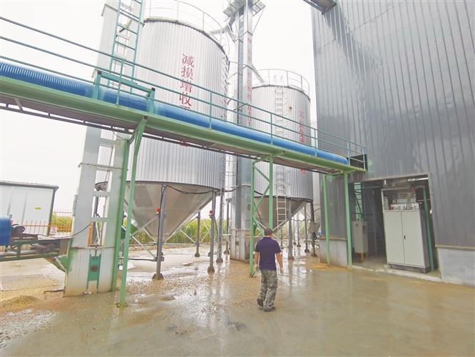 淄博：雨中抢农时硬核保秋收(图2)
