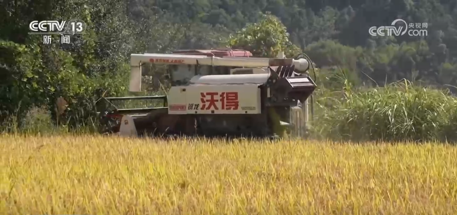秋收冬种尽“丰”景希望的田野里一派繁忙景象(图2)