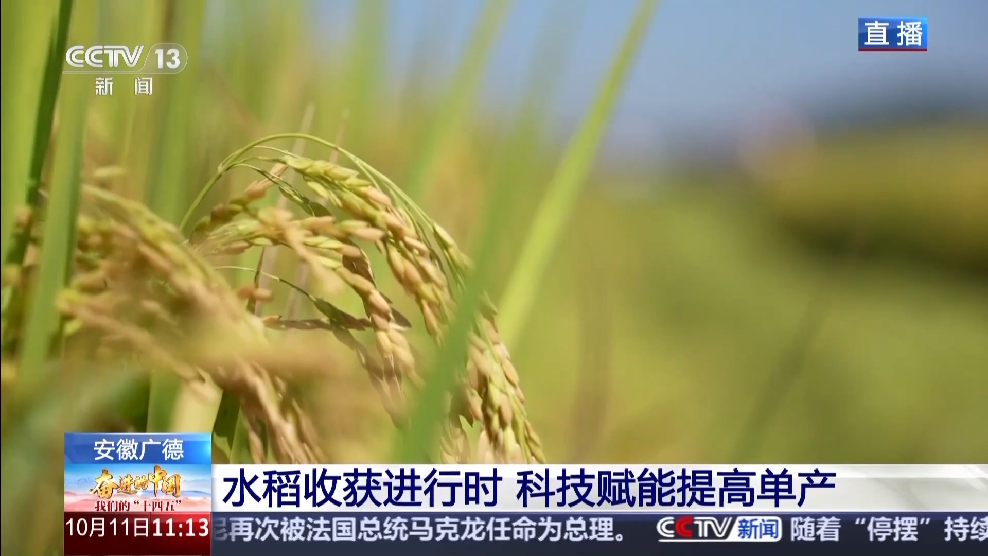 Bwin必赢科技赋能单产提升记者探访“大国粮仓”第一线(图2)