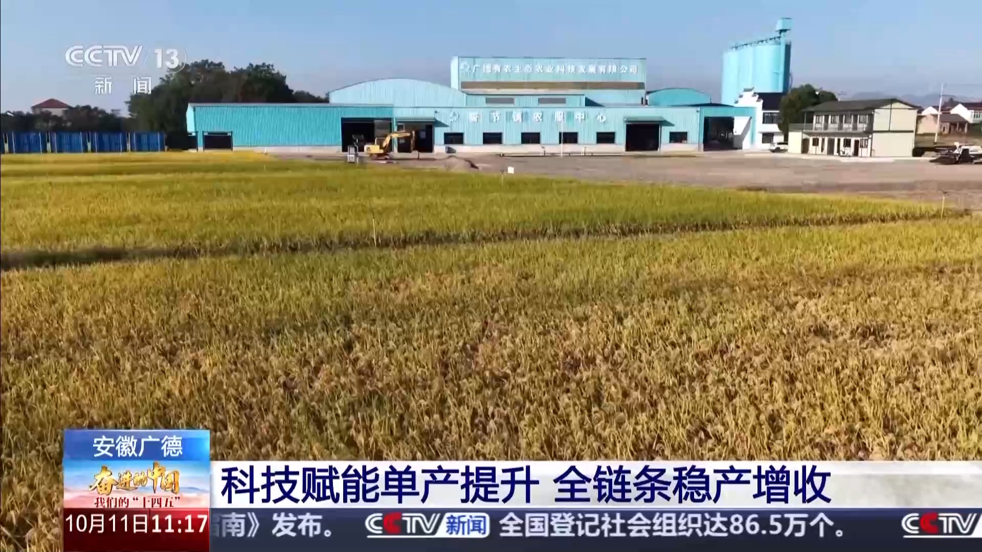 Bwin必赢科技赋能单产提升记者探访“大国粮仓”第一线(图4)