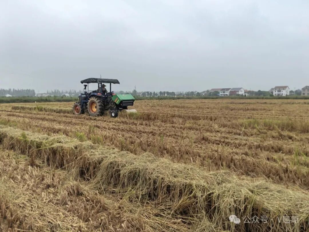 岳阳市屈原管理区凤凰乡：秸秆打捆离田变废为宝助循环(图1)