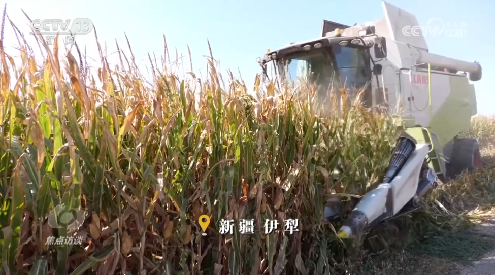 焦点访谈｜非凡“十四五”大国粮仓的“丰收答卷”(图1)