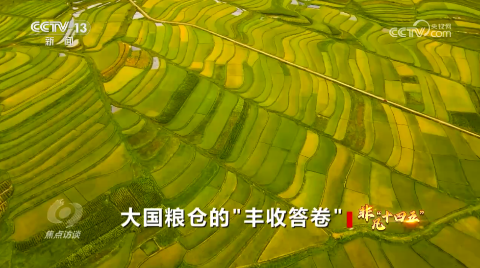焦点访谈｜非凡“十四五”大国粮仓的“丰收答卷”(图3)