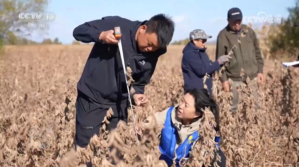 焦点访谈｜非凡“十四五”大国粮仓的“丰收答卷”(图4)