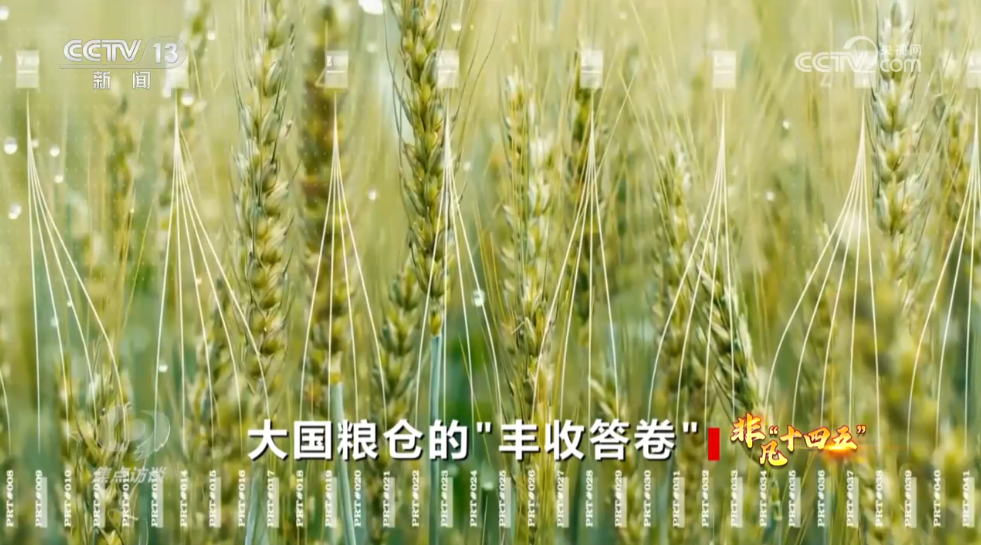 焦点访谈｜非凡“十四五”大国粮仓的“丰收答卷”(图9)