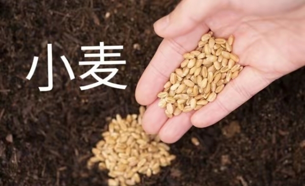 今年秋天很反常?“寒露时节多雨雪”(图3)