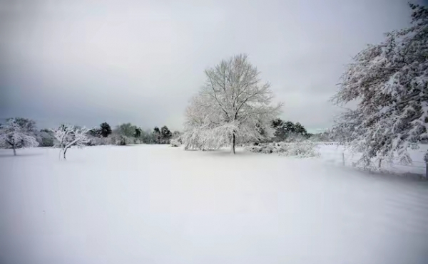 今年秋天很反常?“寒露时节多雨雪”(图4)