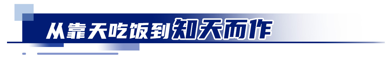 中国饭碗穰穰满家(图3)
