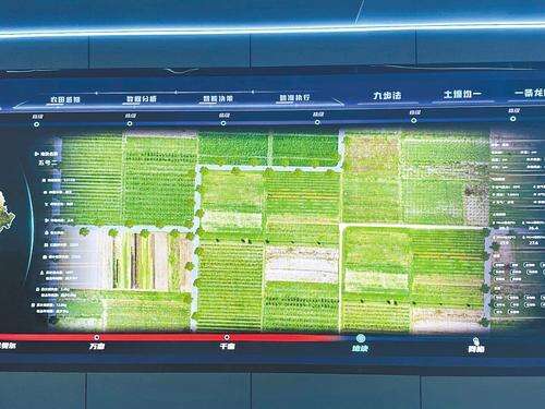 中国饭碗穰穰满家(图5)