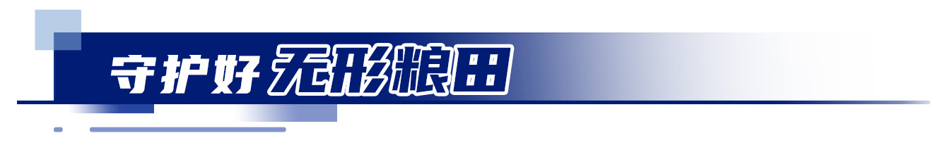 中国饭碗穰穰满家(图11)