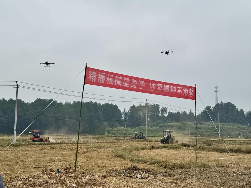 洞口县岩山镇：精播机械显身手油菜播种不用愁(图1)