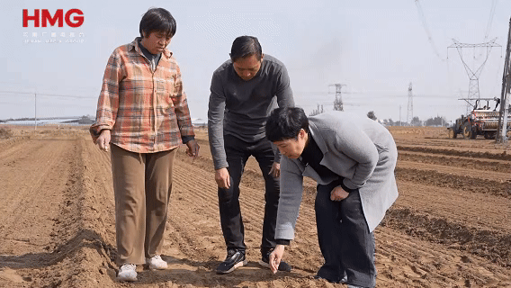 农机忙农技帮！新乡县“抢”字当头播种冬小麦(图1)