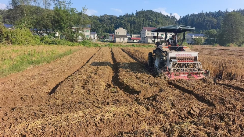 鲊埠回族乡：秸秆还田种油菜(图1)