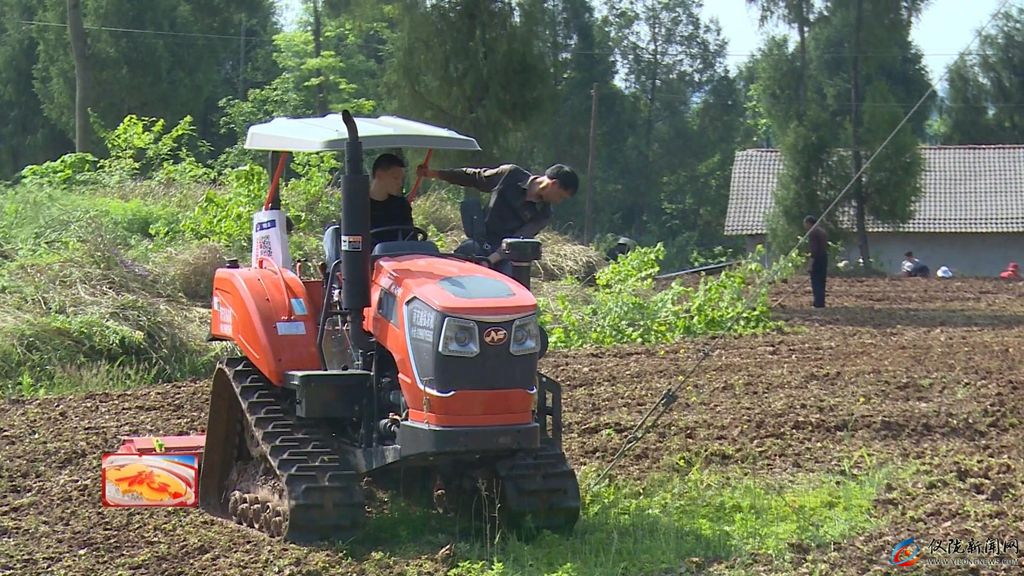 机械化高效推进秋播科技为我县油菜丰收注入“硬核动力”(图4)
