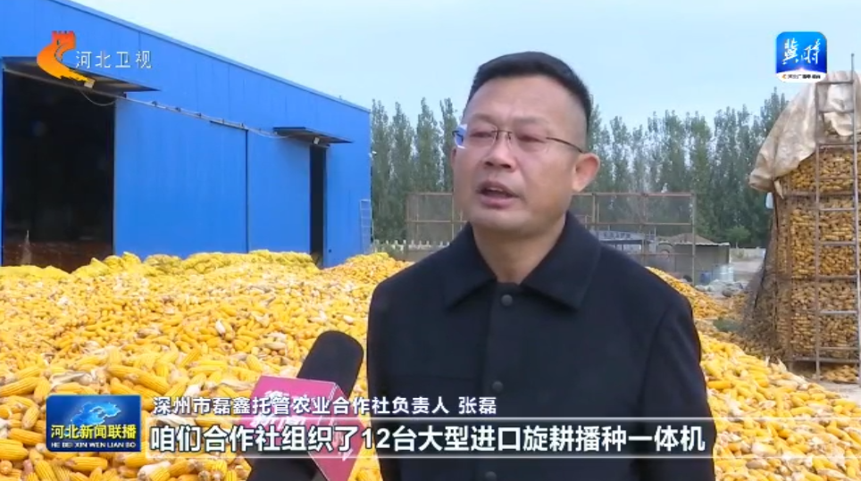 河北省启动“奋战60天抗秋汛抢麦播促壮苗”行动(图1)