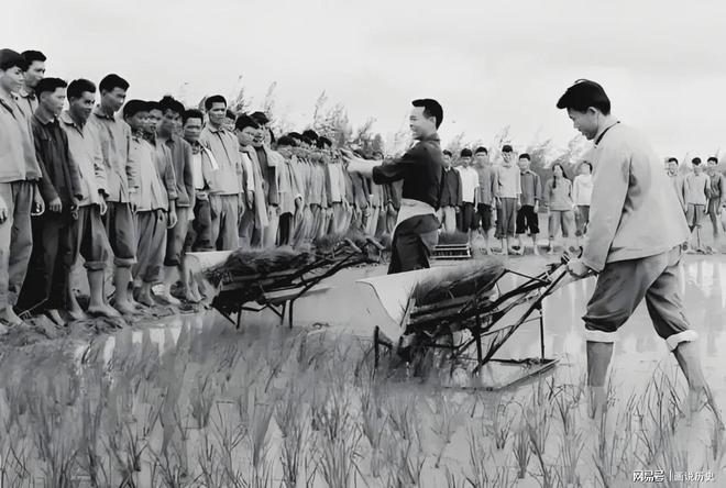 必赢文革时期成就28:1976年农机化浪潮中的铁牛入田(图5)
