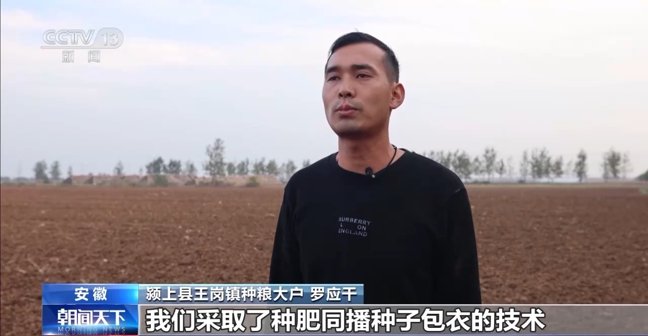 全国秋粮收获已过八成半冬小麦播种加快推进Bwin必赢(图1)