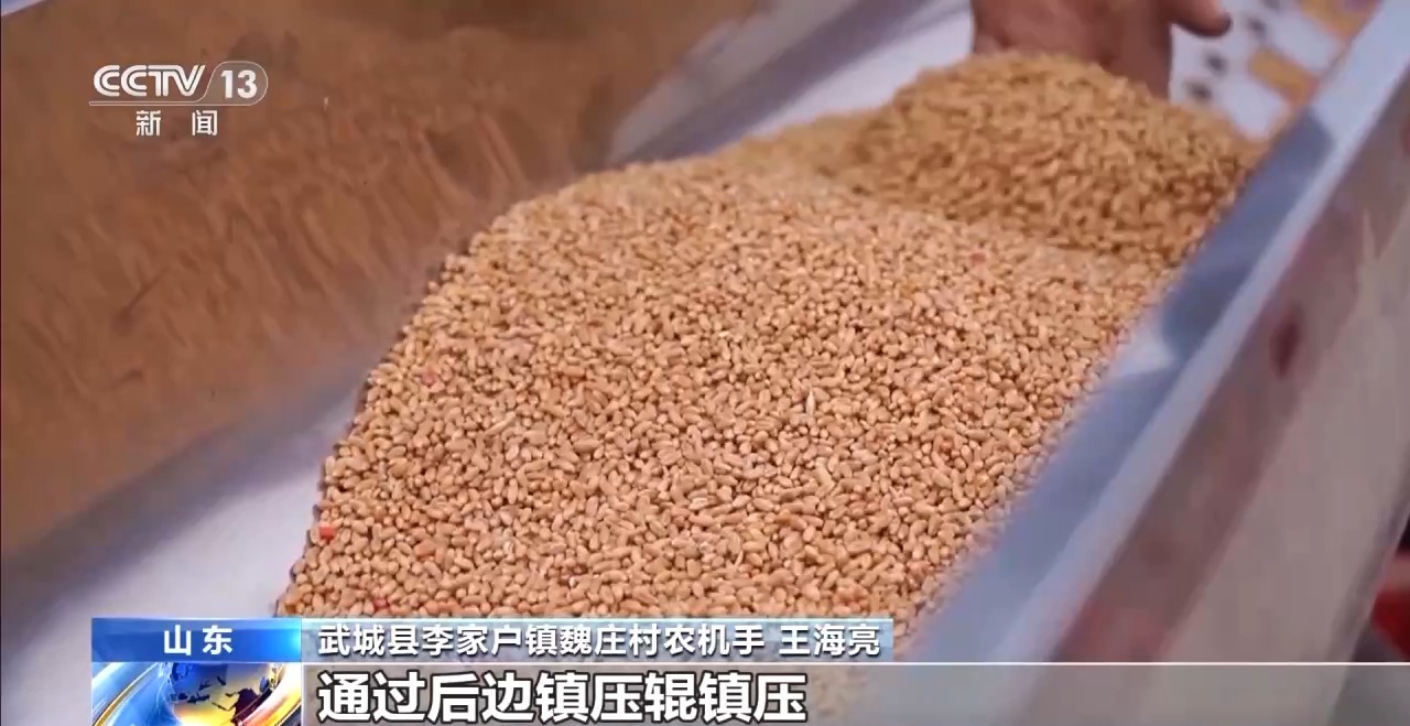 全国秋粮收获已过八成半冬小麦播种加快推进Bwin必赢(图2)
