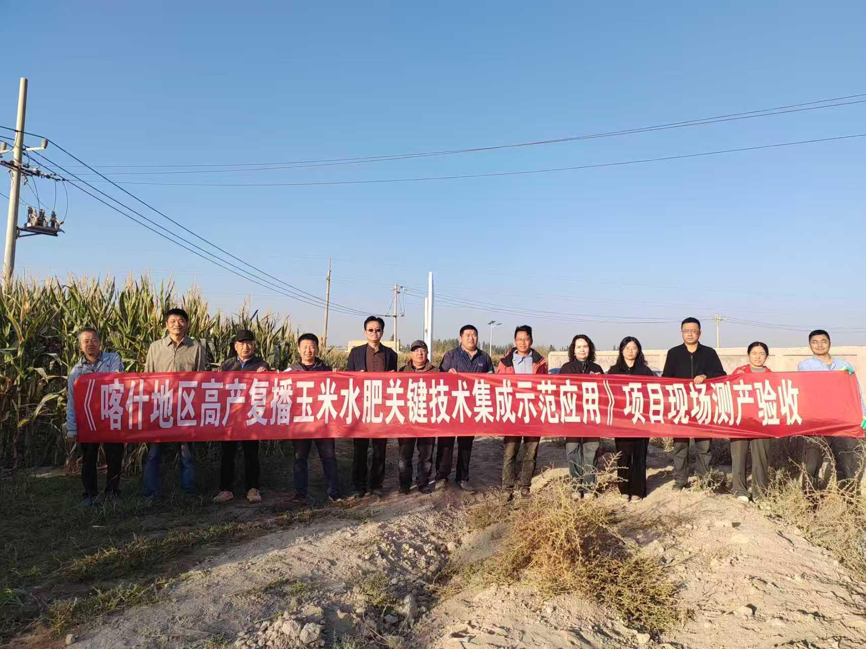 Bwin必赢新技术破解南疆复播玉米低产难题(图1)