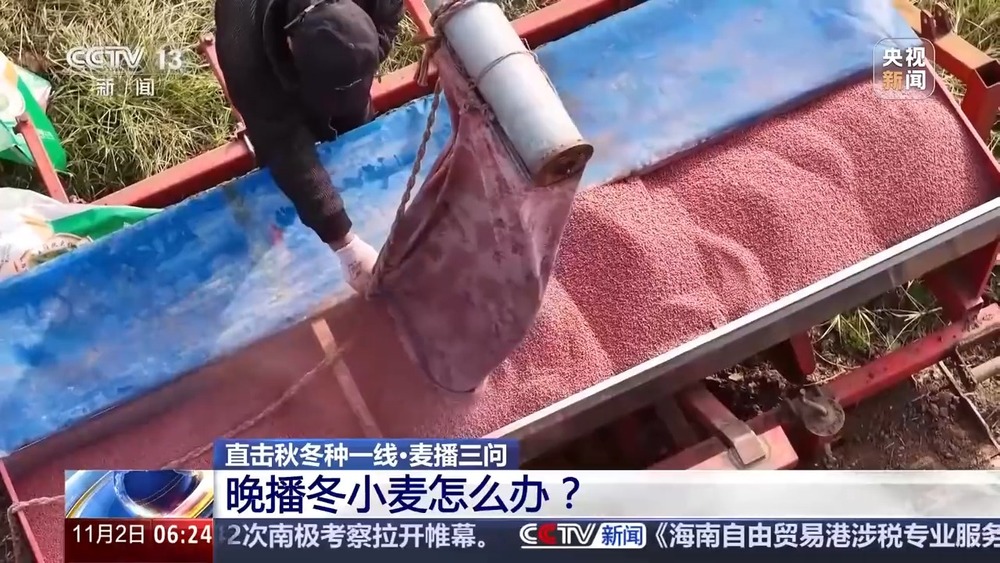 丨如何种好“过冬客人”冬小麦？专家介绍三个播种技巧(图7)