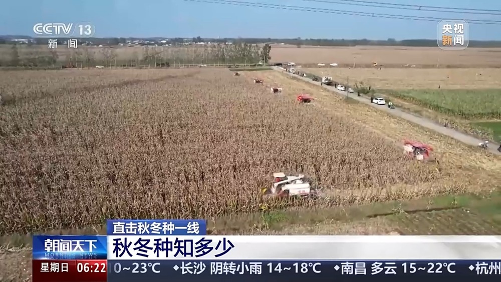 丨如何种好“过冬客人”冬小麦？专家介绍三个播种技巧(图1)