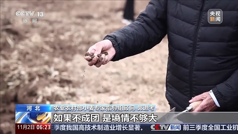 丨如何种好“过冬客人”冬小麦？专家介绍三个播种技巧(图4)