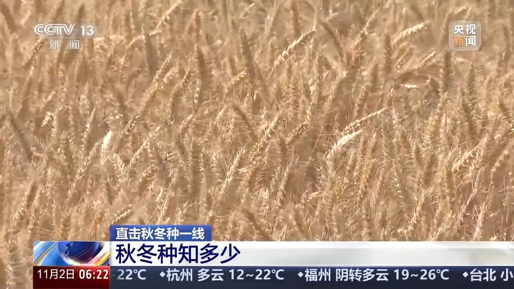 丨如何种好“过冬客人”冬小麦？专家介绍三个播种技巧(图2)