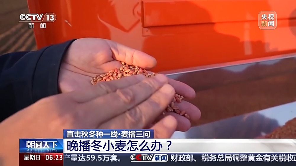 丨如何种好“过冬客人”冬小麦？专家介绍三个播种技巧(图5)