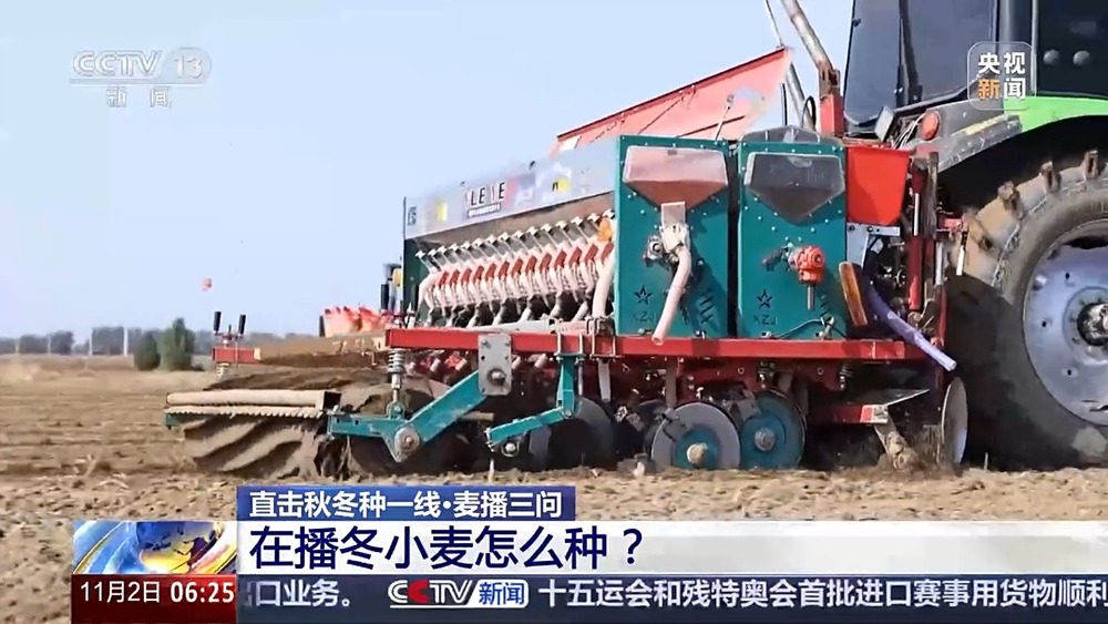 丨如何种好“过冬客人”冬小麦？专家介绍三个播种技巧(图8)