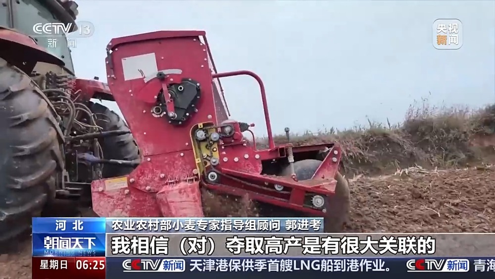 丨如何种好“过冬客人”冬小麦？专家介绍三个播种技巧(图9)