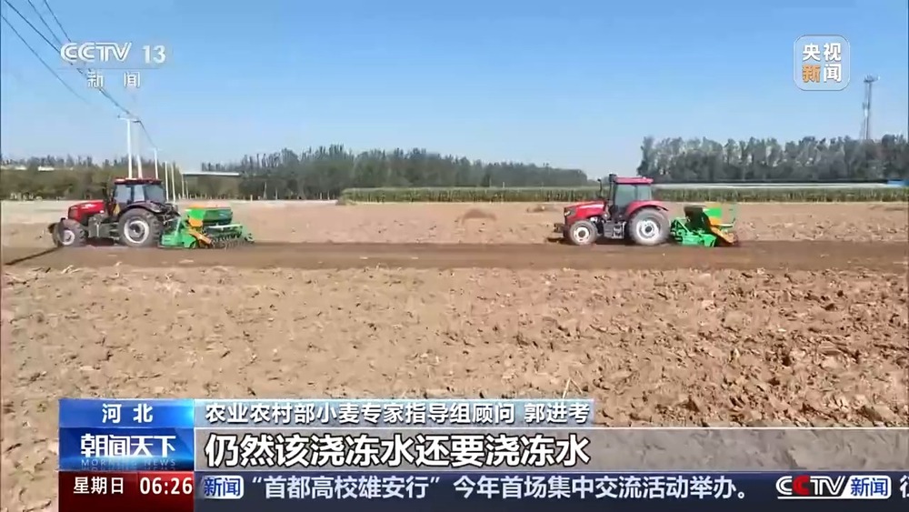 丨如何种好“过冬客人”冬小麦？专家介绍三个播种技巧(图12)