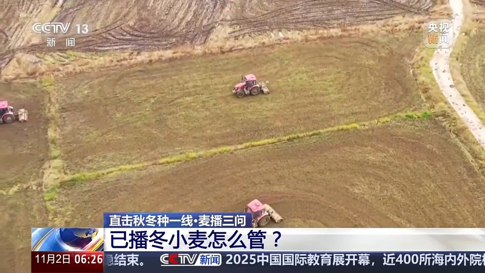 丨如何种好“过冬客人”冬小麦？专家介绍三个播种技巧(图11)