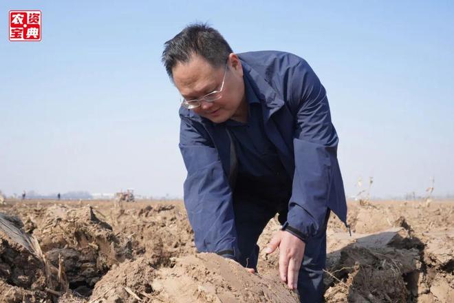 河南秋播图景：地神护沃土金种落田盼丰收(图4)