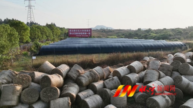 【走进一线记者行】黄墩镇：秸秆回收 变废为宝(图1)