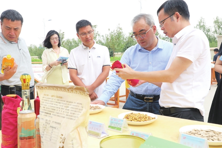 河南如何点“豆”成金科技必赢国际支撑油莎豆产业高质量发展(图1)