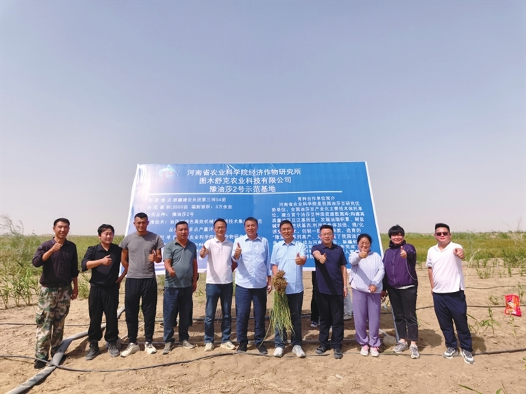 河南如何点“豆”成金科技必赢国际支撑油莎豆产业高质量发展(图3)