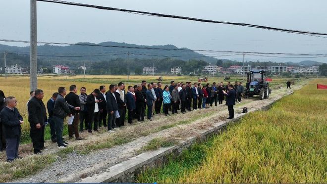 高平镇：隆回县秸秆综合利用现场观摩会(图1)