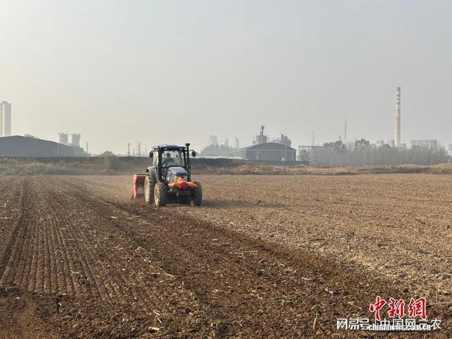 山西长治潞城区：机械农技双驱动晚播小麦破困局(图1)