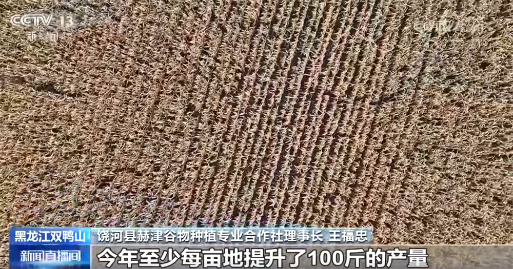 必赢金秋十月“丰”景如画​机械化提质增效奏响现代农业“奋进曲”(图2)