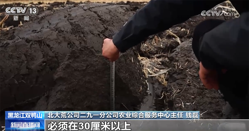 必赢金秋十月“丰”景如画​机械化提质增效奏响现代农业“奋进曲”(图4)