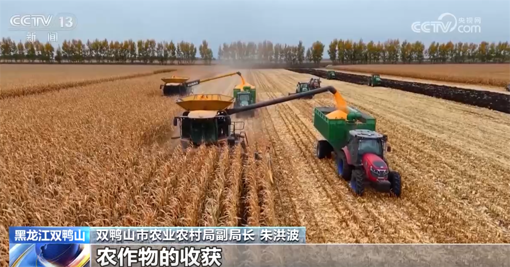 必赢金秋十月“丰”景如画​机械化提质增效奏响现代农业“奋进曲”(图6)